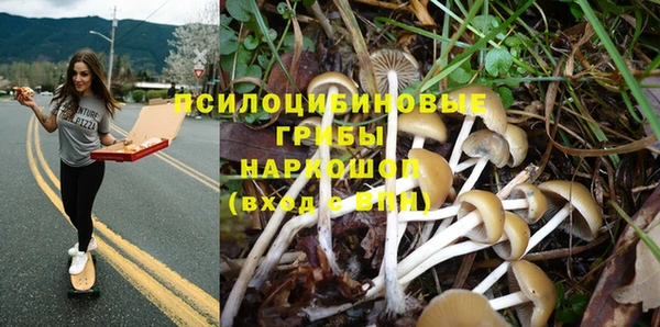 2c-b Белокуриха