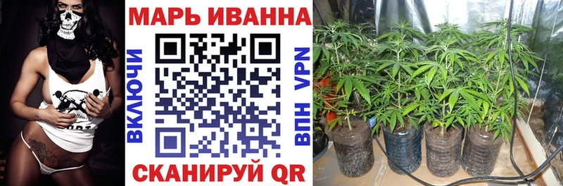Бошки Шишки план  Окуловка 